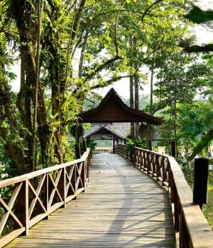 Sukau Rainforest Lodge