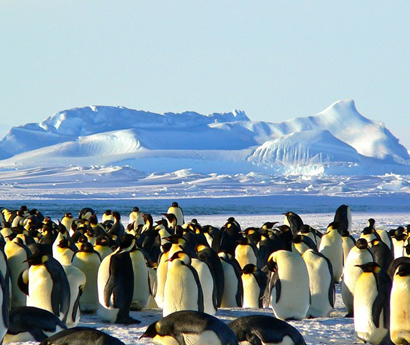 Discover Antarctica