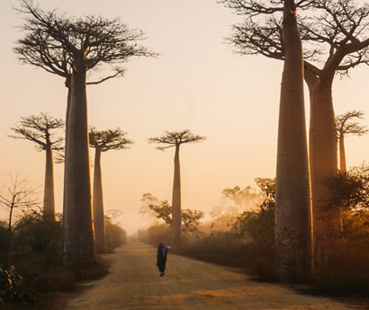 Mystical Madagascar