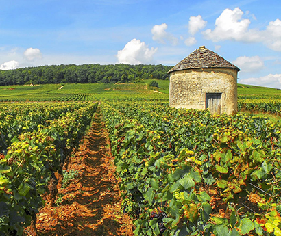 Burgundy: Route Du Vin