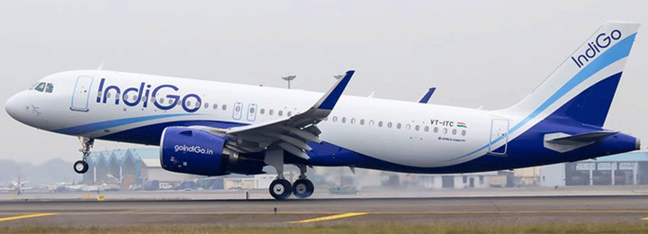 Indigo