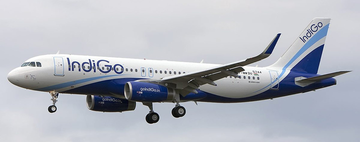 Indigo