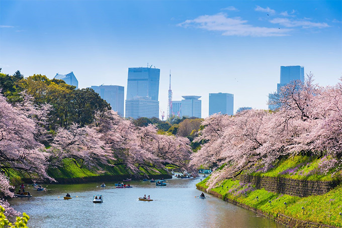 Air India Increases Delhi-Tokyo (Haneda) Service to Daily from June 15