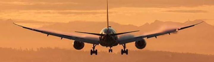 Vistara