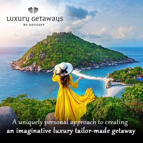 Our Family of Brands