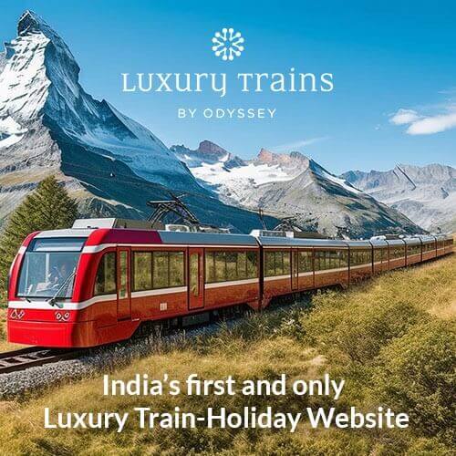 Our Family of Brands