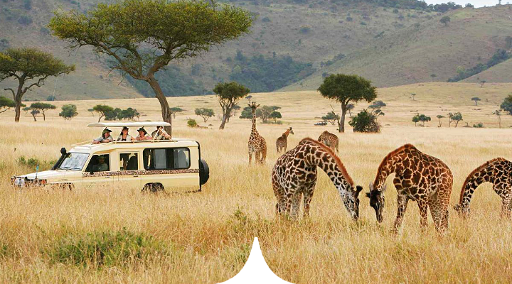 Kenya: Sunrise Safaris & Maasai Mara Dawns