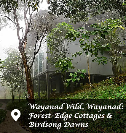 Wayanad Wild, Wayanad: Forest-Edge Cottages & Birdsong Dawns