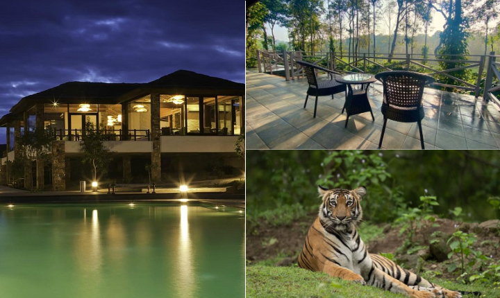Into the Wild - Nagarhole & Bandipur