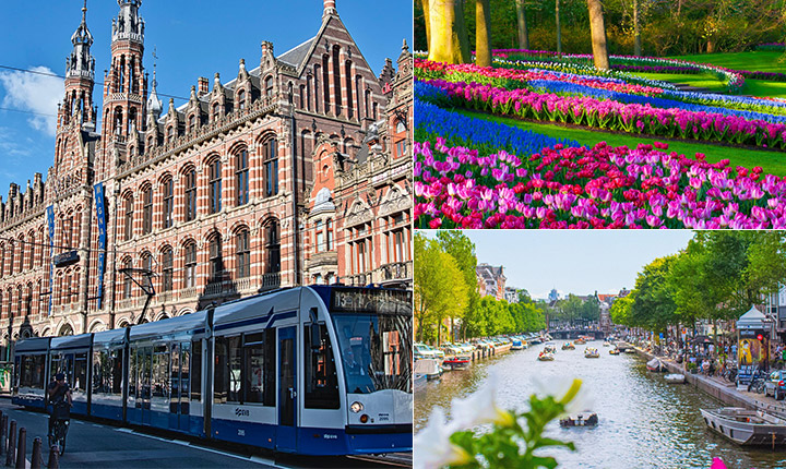 Indigo to Amsterdam