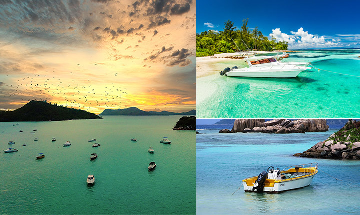 Indigo to Seychelles