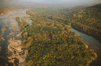 Quiet by the River, Periyar