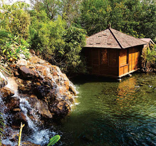 The Bamboo Forest Safari Lodge, Tadoba