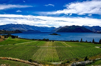 7 Unmissable Stops that Capture the Best of New Zealand