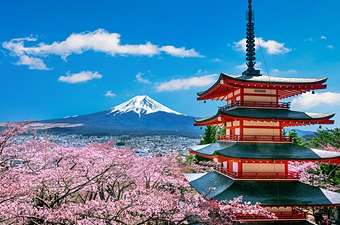 Discovering Japan in Spring