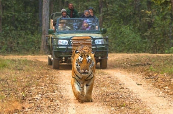 Discovering the Timeless Grandeur of Madhya Pradesh