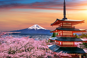 Top 7 Travel Experiences in Japan