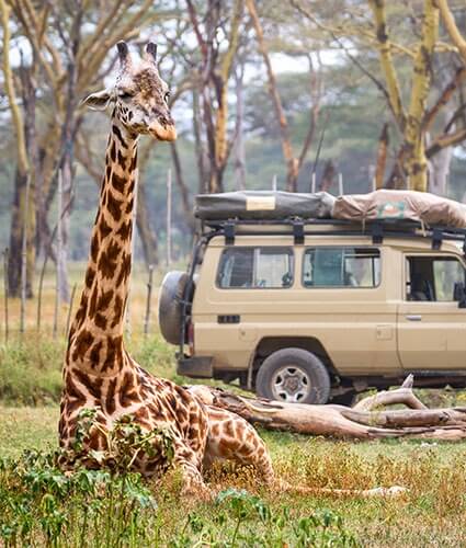 Holiday Experiences Overseas