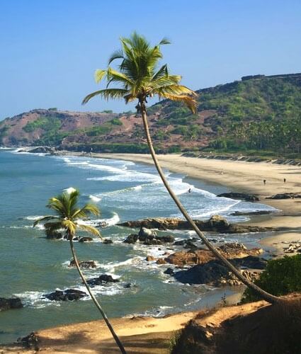 Holiday Experiences in India