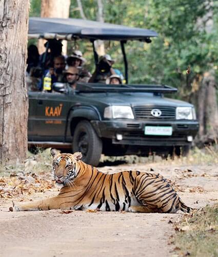 Holiday Experiences in India