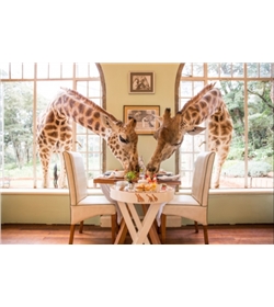 Giraffe Manor