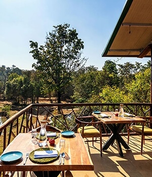 Kanha Jungle Camp