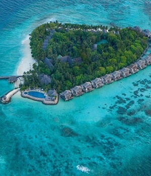 Taj Coral Reef