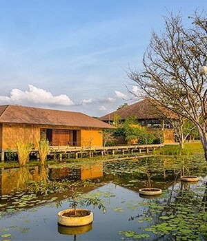 Water Garden