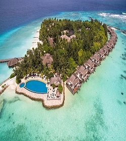Taj Coral Reef