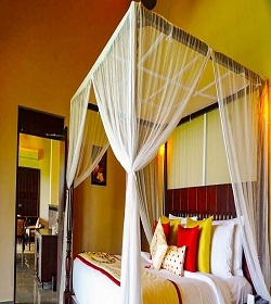 Niraamaya Retreats Backwaters & Beyond, Kumarakom