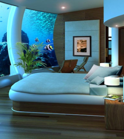 Atlantis Dubai Hotels In Dubai Luxury Hotels In Dubai The