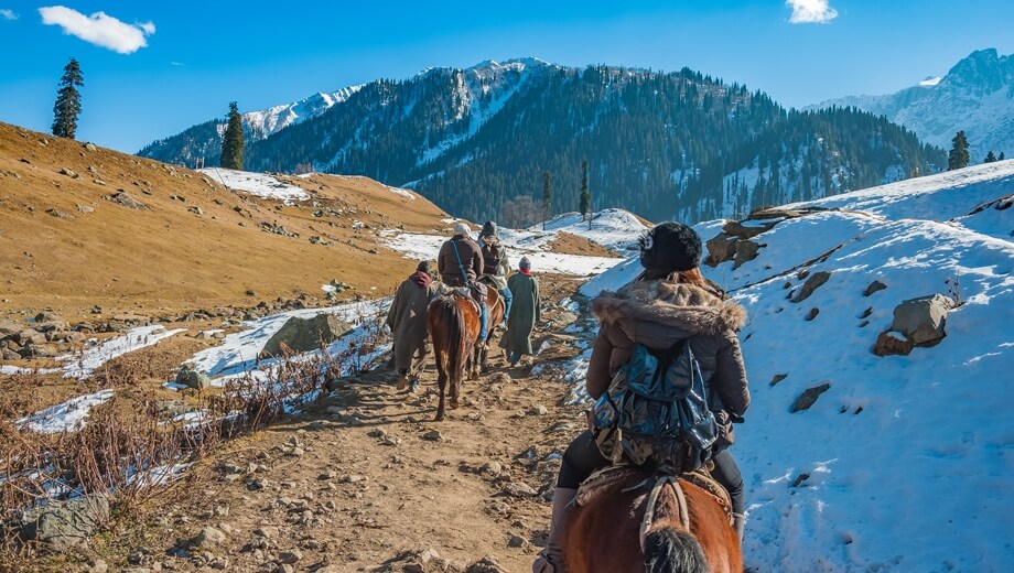 Amazing Kashmir to Ladakh