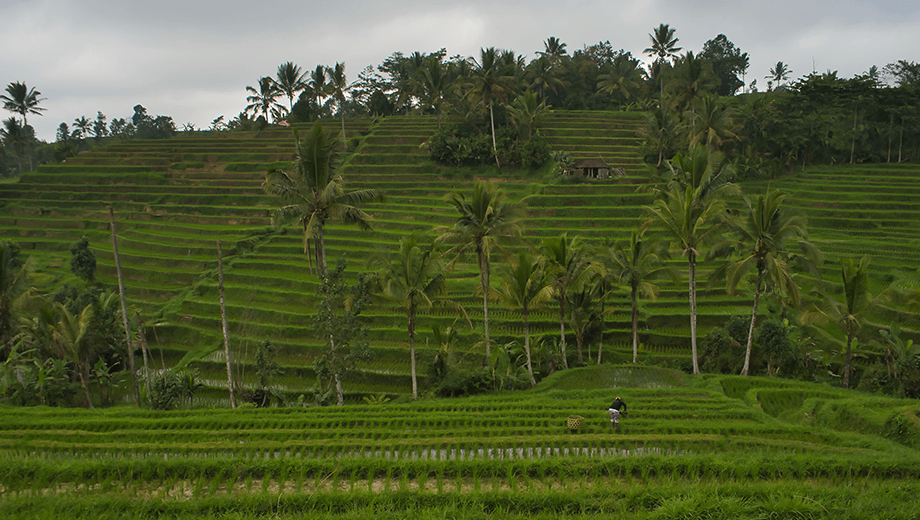 Astonishing Bali