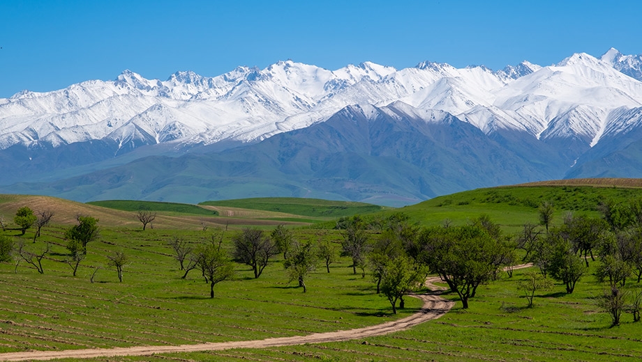 Bishkek: Mountains & Domes of Kyrgyzstan