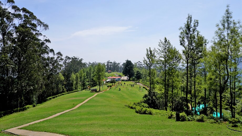 Blissful Ooty and Bandipur