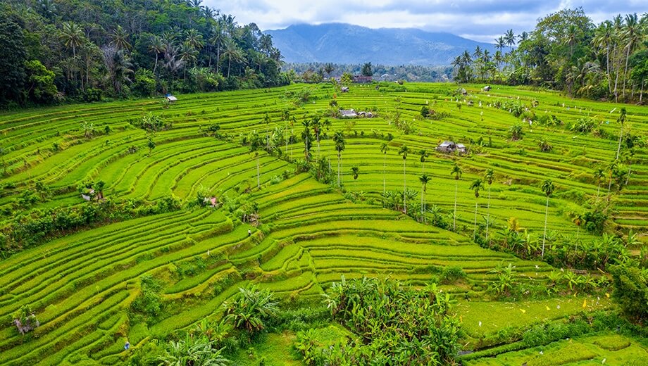 Breathtaking Bali