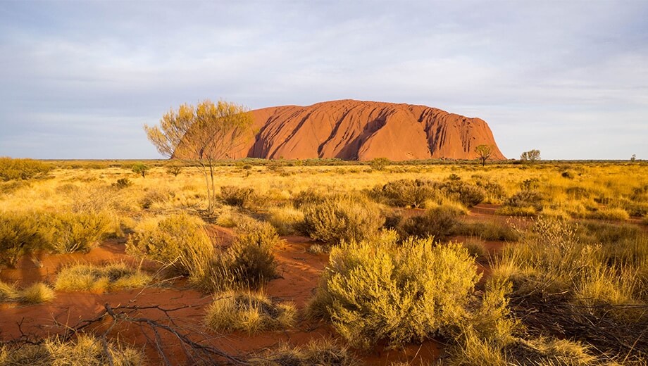 Explore Central Australia