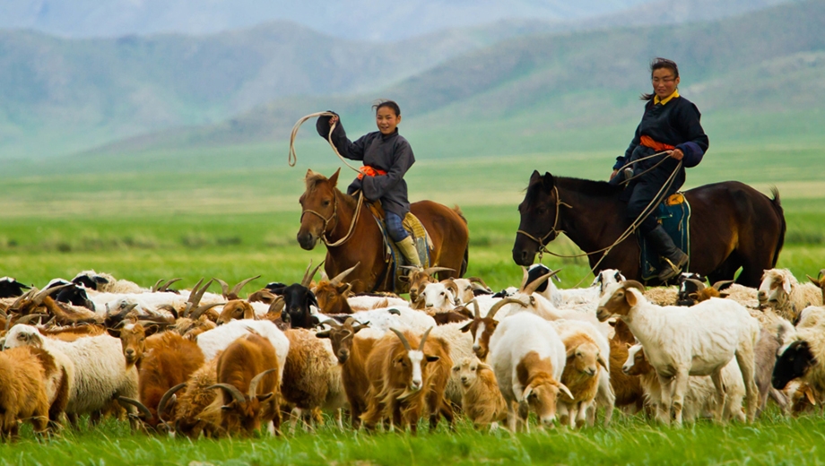 Mongolian Odyssey: A Journey Through Steppes & Legends