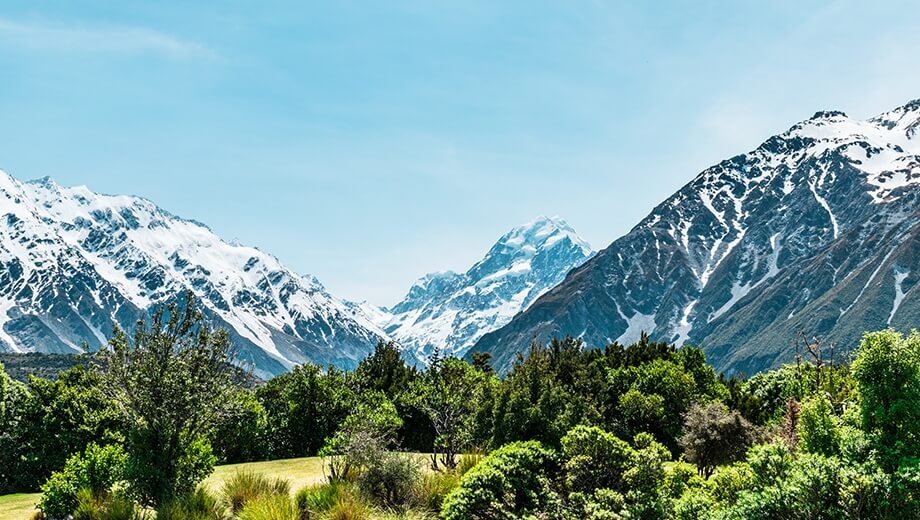 Romantic New Zealand