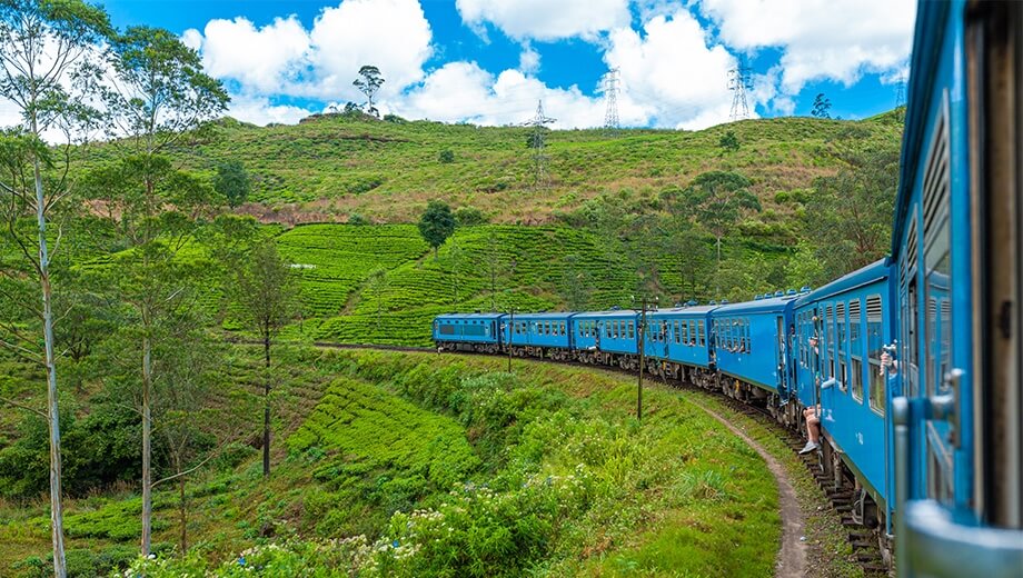 Scenic Tour of Srilanka