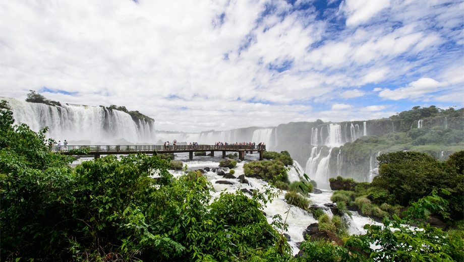 South America: Waterfalls & Wildlife
