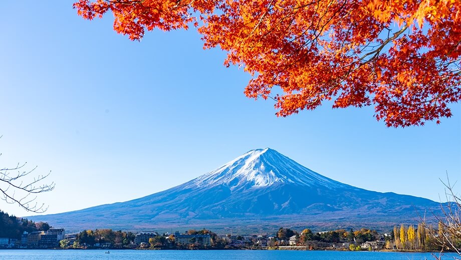 South Korea: Autumn Foliage