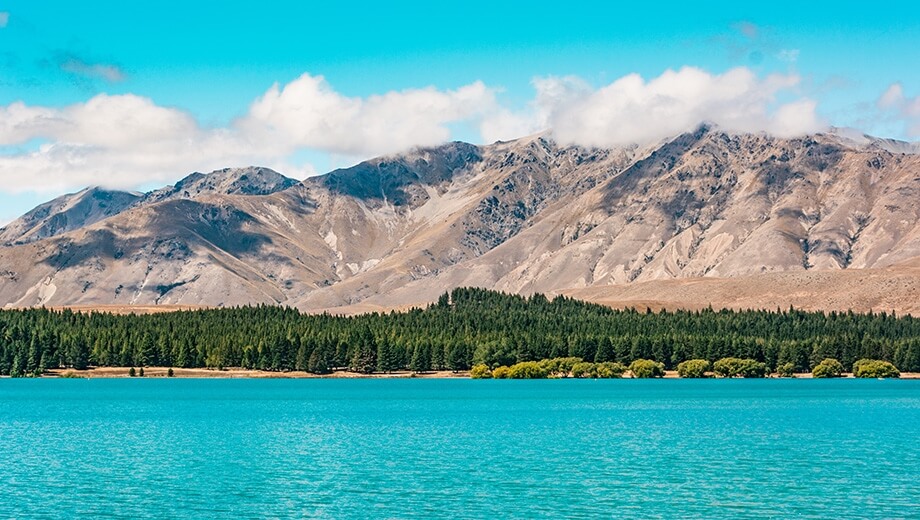 Spectacular New Zealand