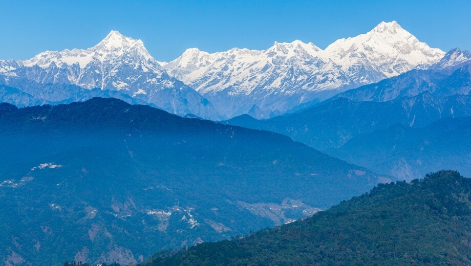 Sweet Eastern Himalaya