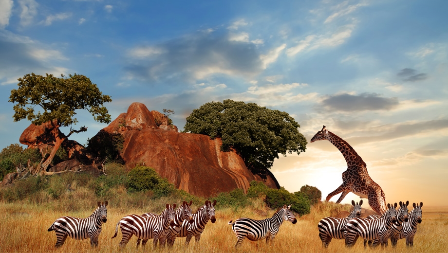 Tanzanian Safari with Serena Lodges