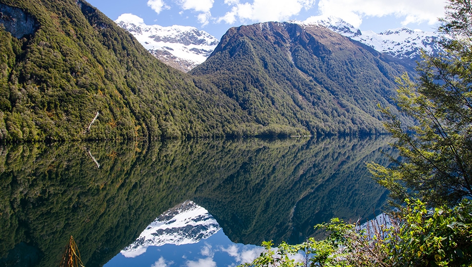 Untouched New Zealand