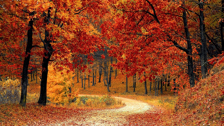 Vermont & Maine: Colours of Autumn