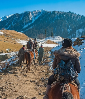 Amazing Kashmir to Ladakh