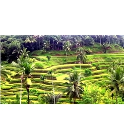 Astonishing Bali