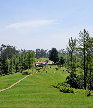 Blissful Ooty and Bandipur